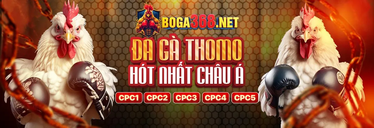 Đá gà trực tuyến hấp dẫn tại SCV388